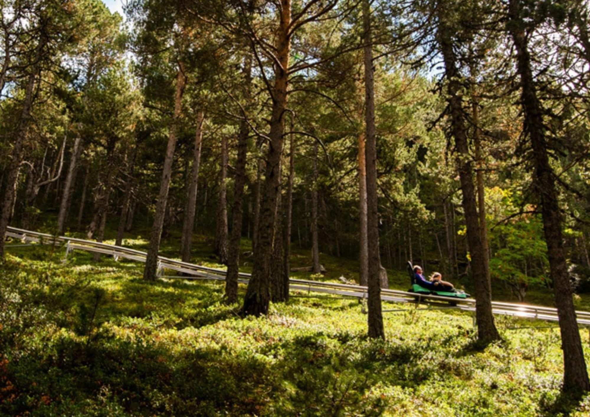 Apartamento Moderno El Bosque En Arinsal Exteriér fotografie